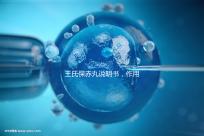 王氏保赤丸說明書，作用功效、用法用量全都有！