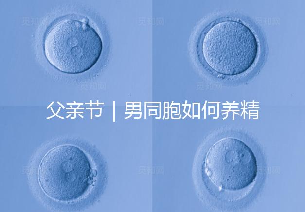 父親節｜男同胞如何養精蓄銳，一發即中？