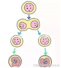 男人結(jié)婚時(shí)是否可以穿白色鞋子和白色西裝進(jìn)行分析,看看對(duì)誰不利