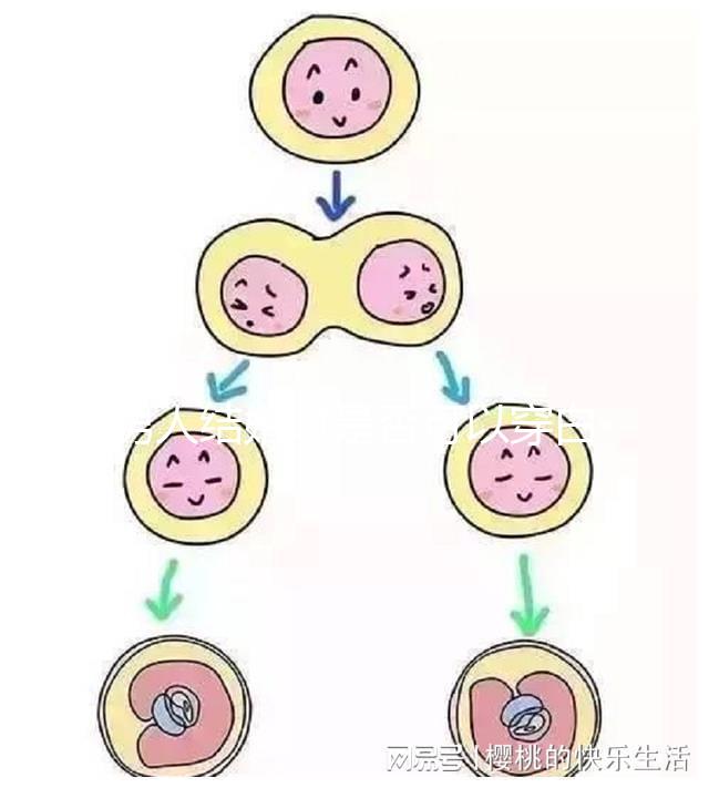 男人結(jié)婚時(shí)是否可以穿白色鞋子和白色西裝進(jìn)行分析,看看對誰不利