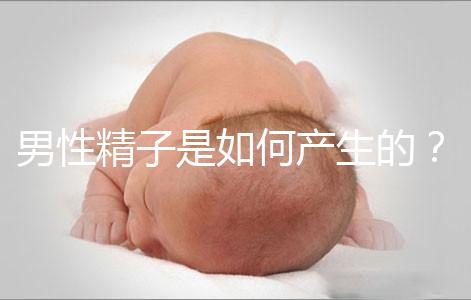 男性精子是如何產生的？