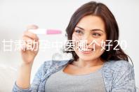 甘肅助孕中醫哪個好2024，成功率高又便宜？