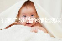 石家莊做試管哪家醫(yī)院成功率最高(石家莊做試管哪家醫(yī)院成功率最高的)