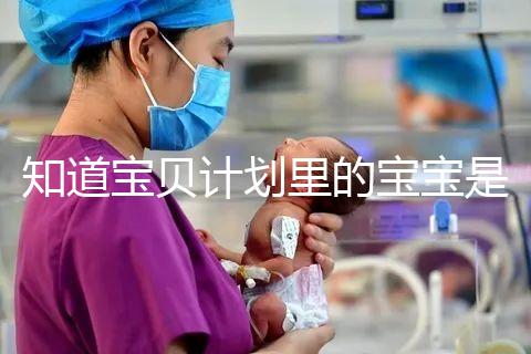 知道寶貝計(jì)劃里的寶寶是誰(shuí)嗎?如今長(zhǎng)大后越來(lái)越帥了