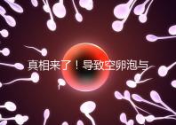 真相來(lái)了!導(dǎo)致空卵泡與多囊卵巢有關(guān),區(qū)別在于以下四點(diǎn),多研究