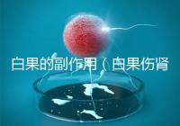 白果的副作用(白果傷腎還是補(bǔ)腎)