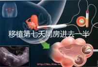 移植第七天同房進(jìn)去一半有無(wú)影響戳，沒(méi)出血問(wèn)題就不大