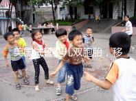 美國試管嬰兒雙胞胎，移植幾顆胚胎把握最大？有多大？