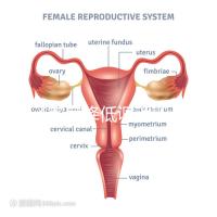 精子密度降低調理四步走，男性生育制勝法寶趕緊看看