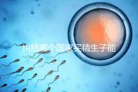 糾結哪個國家買精生子能看照片快收藏！血型、身高可了解