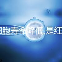 紅細(xì)胞壽命降低,是紅細(xì)胞計(jì)數(shù)偏低4大原因之一