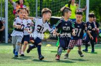 紅花功效與作用(男人喝紅花對(duì)性功能好嗎)