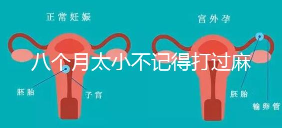 八個月太小不記得打過麻風疫苗看這，2大反應教你辨別