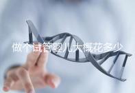 做個試管嬰兒大概花多少錢(做個試管嬰兒得花多少錢)