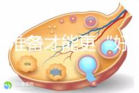 做好準備才能更“好孕”！美國試管嬰兒進周前后3大注意事項