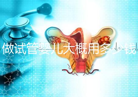 做試管嬰兒大概用多少錢，做試管嬰兒一般需要多少錢