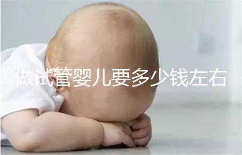 做試管嬰兒要多少錢左右？