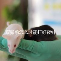 取卵前怎么才能打好夜針?準時按量注射是基礎(chǔ)條件