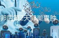 取卵后第2天卵巢囊腫,怎么能快速恢復?