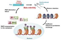 取卵后10天會來月經嗎？快拿小本本記好準確時間