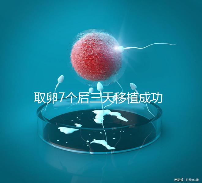 取卵7個后三天移植成功率真不低，關鍵要滿足這5大條件