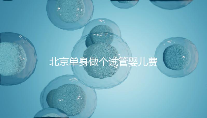 北京單身做個試管嬰兒費用大概要多少？