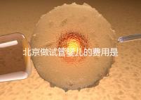 北京做試管嬰兒的費用是多少錢?詳細(xì)流程是怎樣的?