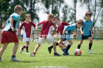 北京試管嬰兒醫(yī)院排名揭曉:價格合理,流程詳解