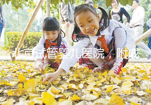 北京試管嬰兒醫院，附成功率、費用