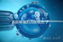 凍胚移植的流程概述:子宮內膜及身體準備非常重要