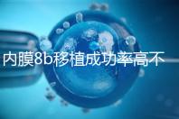 內(nèi)膜8b移植成功率高不高分析,掌握好時間放凍胚也能著床