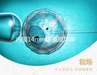 內(nèi)膜14mm移植成功率不高？好不好著床看完心里有譜