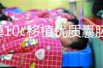 內膜10c移植優質囊胚成功率不高，與9b相比著床率更低