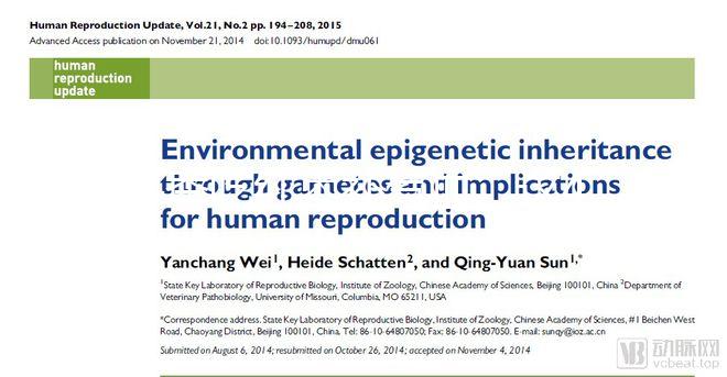 冬季吃紅棗補(bǔ)氣血,這4大禁忌孕婦千萬別犯