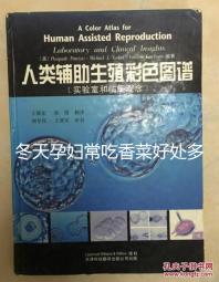 冬天孕婦常吃香菜好處多，搓成丸子味道更佳