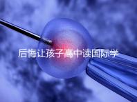 后悔讓孩子高中讀國際學(xué)校4大理由,行動前學(xué)籍咋辦要弄清