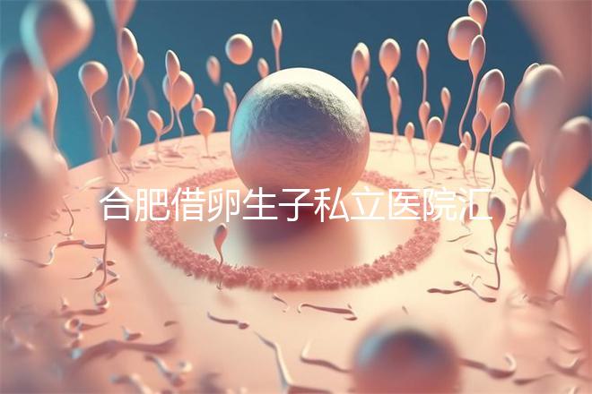 合肥借卵生子私立醫(yī)院匯總,2024哪家排名好一覽了然