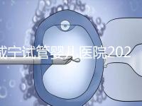 咸寧試管嬰兒醫院2024年成功率排名公開，哪家好一目了然