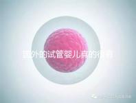 國外的試管嬰兒真的很有優勢嗎(國外的試管嬰兒真的很有優勢嗎視頻)