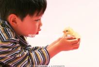 國外單身做個(gè)試管嬰兒費(fèi)用大概要多少?