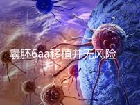 囊胚6aa移植并無風(fēng)險,術(shù)長僅15分鐘,別讓心情影響成功率