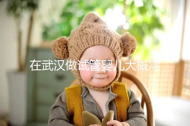 在武漢做試管嬰兒大概需要多少錢？武漢同濟醫院做試管可以選性別嗎？