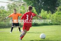 在青海找私立醫院做三代試管的費用是多少？一般10