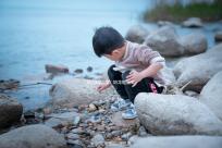 地龍的功效（地龍能提高性功能嗎）