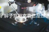 了解子宮憩室囊胚是否能成功移植，這里是否有出血