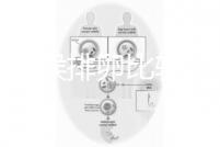什么時候排卵比較容易?