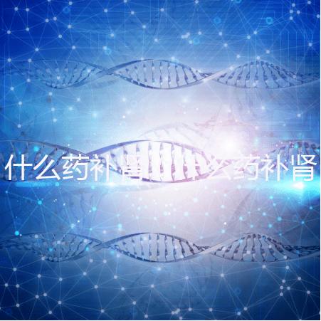 什么藥補(bǔ)腎(什么藥補(bǔ)腎壯陽(yáng)效果最好)