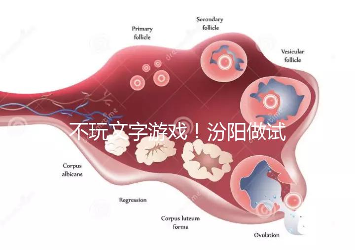 不玩文字游戲！汾陽做試管嬰兒成功率和費用一覽