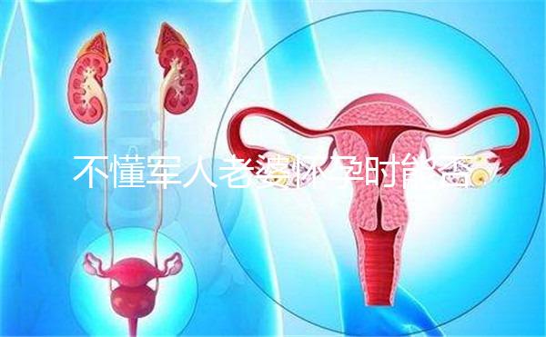 不懂軍人老婆懷孕時能否休陪護(hù)假快收藏,異地最高15天