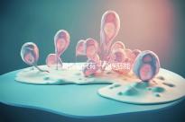 一篇告知只有一個(gè)凍胚能否移植,機(jī)會有多大做之前都看看